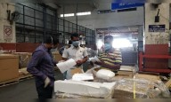 CBIC orders vigilance probe into alleged irregularities at Chennai customs in Wintrack case