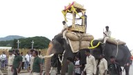Mysuru Gears Up For Grand Jamboo Savari On October 2
