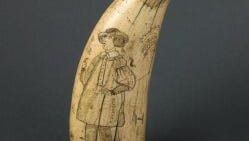 More than 1,000 artifacts stolen from Oakland museum's storage facility