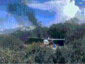 FANB destruyó dos narcoavionetas en Amazonas