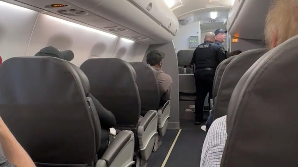 Panicked American Airlines pilots make emergency landing after they hear mystery banging on cockpit door