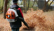 Supreme Court Approves Death Penalty For People Who Use Leaf Blowers Before 8 A.M.