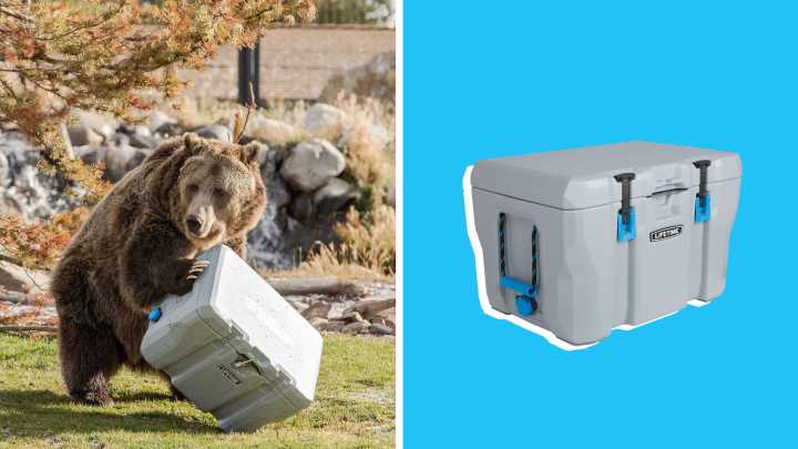 🐻 This bear-resistant cooler is under $110 at Walmart right now
