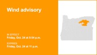 Southern Blue Mountains of Oregon placed under a wind advisory until Friday night