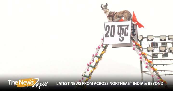 BSF’s Mudhol, Rampur hounds showcase operational skills at rehearsal parade for Rashtriya Ekta Diwas at Statue of Unity