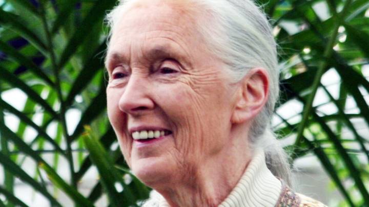 Honoring the life and legacy of Dr. Jane Goodall