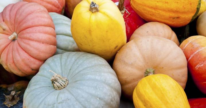 Give your pumpkins new life after Halloween