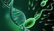 COVID-19 Can Alter Sperm, Leading To Anxiety And Other Brain Changes In The Next Generation