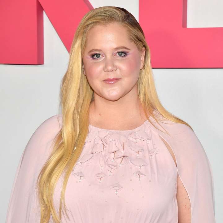 Amy Schumer's Flat Stomach Photo After Weight Loss