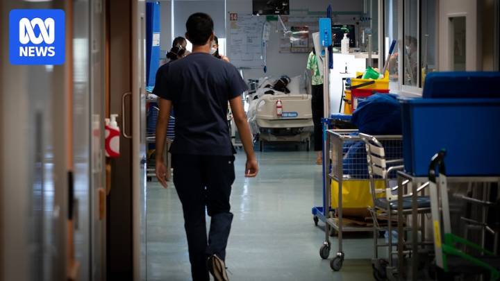 Acacia system returning to Royal Darwin Hospital emergency department despite concerns