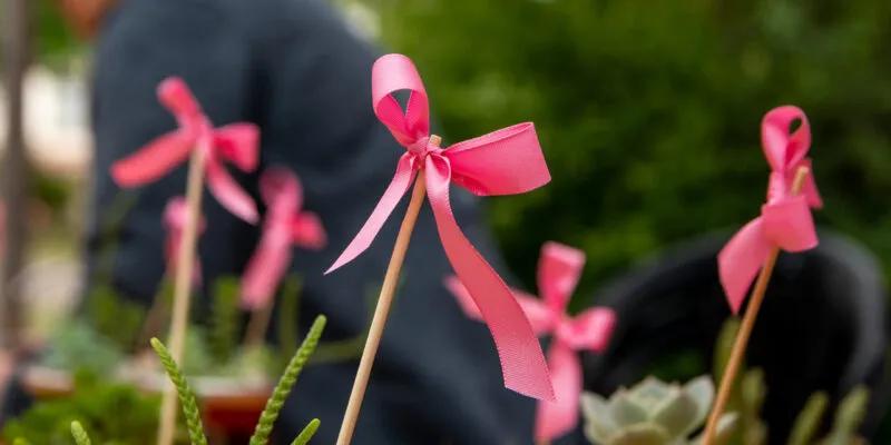 Salud de las mujeres: continúan las actividades de prevención y diagnostico precoz del cáncer de mama