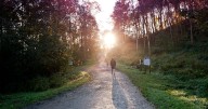 'Win-win' says council as work set to start on Guisborough Forest Walkway improvements