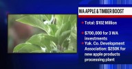 Sunnyside apple industry to gain $250k boost for new processing plant