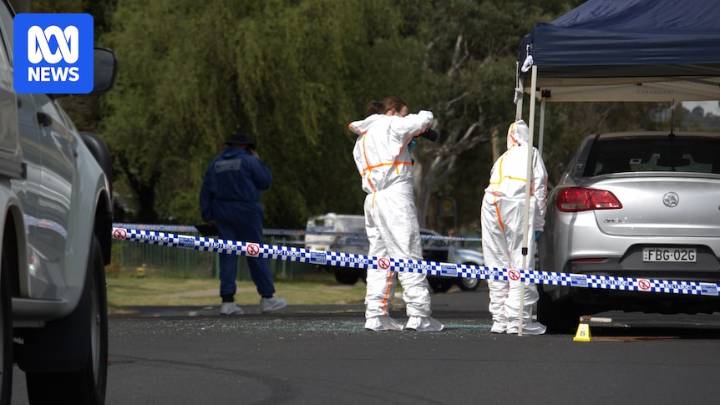 Homicide investigation underway after man's body found in Bega park