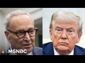 Americans know Democrats aren't firing people: The buck stops with the president, says Sen. Schumer