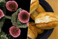 Las dietas bajas en carbohidratos se han puesto de moda: un estudio las acaba de correlacionar con mayor riesgo de cáncer