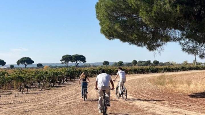 La preboda de la hija de Antonio Banderas: del paseo en bici por viñedos a un tapeo por Valladolid