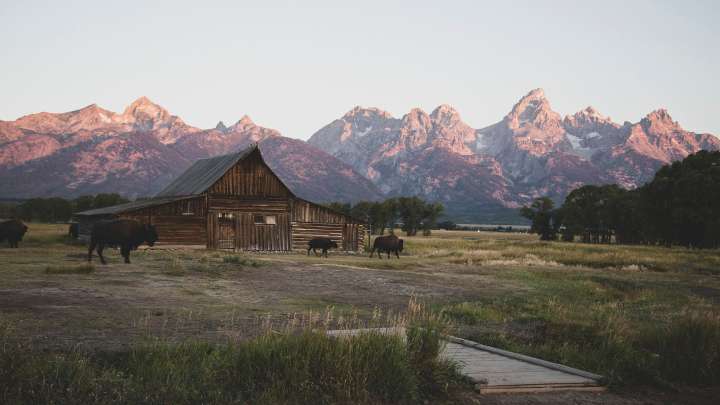 All 3 'Jeopardy!' contestants whiff on Jackson Hole clue