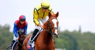'He beat the Derby winner so this should be easy'