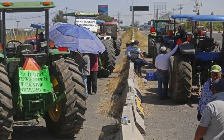 Productores de maíz rechazan precio del Gobierno y advierten “rebelión agrícola”