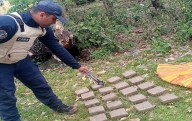 PNB incauta 10 kilogramos de marihuana en el estado Apure (+Fotos)