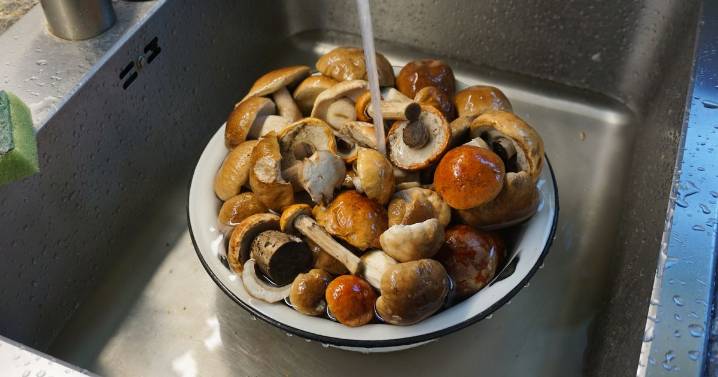 Ingredient gardeners can add to water to save plants in 24 hours