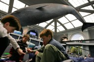 Celebrate Halloween at the American Museum of Natural History: How to get tickets
