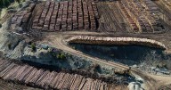 New U.S. tariffs another blow for B.C. forest industry