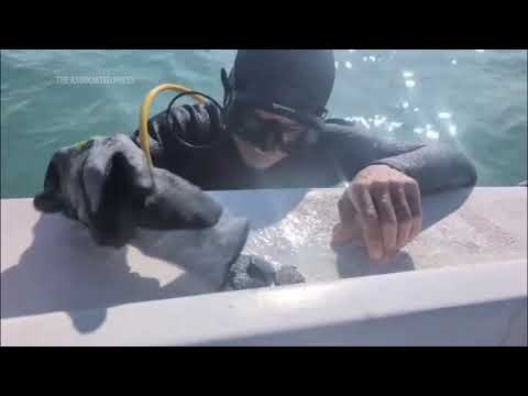 UNDERSEA TREASURE | Crew finds $1 million in treasure from 1700s shipwrecks