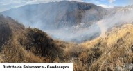 Incendios afectaron la vegetación de tres provincias de Arequipa
