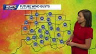 Gusty winds and a few evening showers