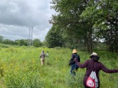 Project preserves Calumet City's link to ancient landscape