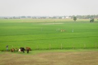 Drying of Gangetic Plains, flooding in north-west concern for food security, impacts irrigation infrastructure: Study