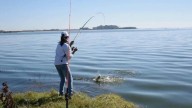 Levantaron la veda de pesca en los diques de Jujuy