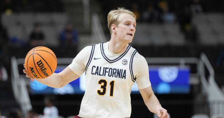 Cal will count on leadership of senior forward Rytis Petraitis after transfers of top players