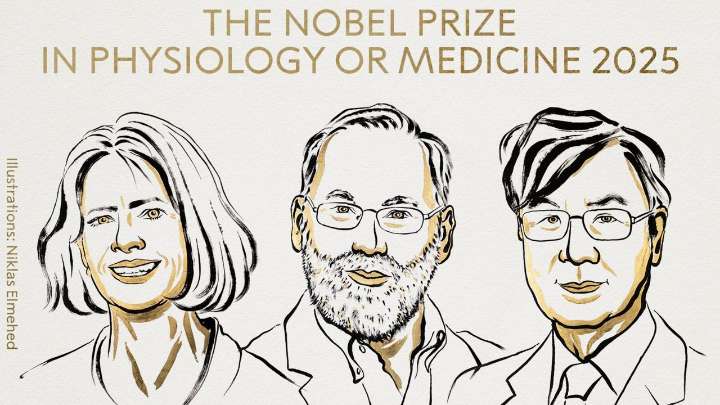 Trío de científicos se queda con el Nobel de Medicina 2025 por sus hallazgos sobre el sistema inmune