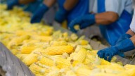 Federación instalará planta de harina de maíz en Puebla para eliminar intermediarios