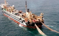 Perú pierde 800 millones de dólares al año por pesca ilegal de pota de flotas chinas, según CCL