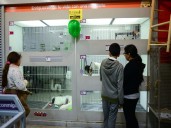 Cuestionan iniciativa para regular exhibición de animales