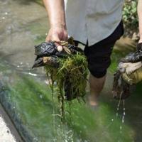 Vast reserves, but little to drink: Tajikistan's water struggles