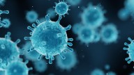 North Carolina reports first flu-related death of the 2025