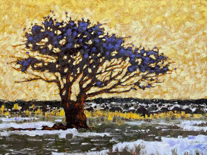 Upcoming Phoenix exhibit to celebrate Arizona ‘views’