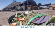 En San Juan se tiran más de 125 toneladas mensuales de frutas y verduras que ya no sirven para consumo humano