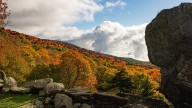 Why do fall leaves change colors?