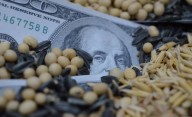 El agro liquidó US$ 7.100 millones en septiembre