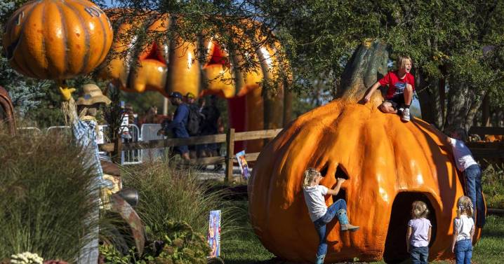 Here's your guide to all the fall fun in Lincoln, Southeast Nebraska