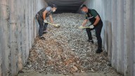 Watchdog report says American e-waste is causing 'hidden tsunami' in Southeast Asia