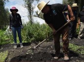 Fundación Kalmekak impulsa a chinamperos de Xochimilco en la producción y venta de hortalizas