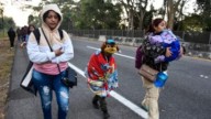 Number Of Migrants Crossing US-Mexico Border Lowest In Over 50 Years: Data