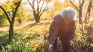 How To Know When It's Officially Too Late To Plant Anything In The Fall
